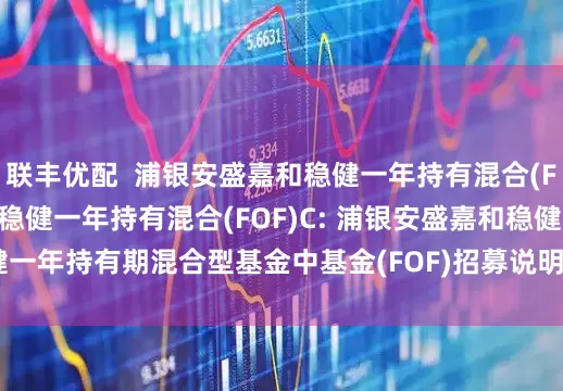 联丰优配  浦银安盛嘉和稳健一年持有混合(FOF)A,浦银安盛嘉和稳健一年持有混合(FOF)C: 浦银安盛嘉和稳健一年持有期混合型基金中基金(FOF)招募说明书(更新)2025年第1号